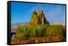 USA, Nevada, Gerlach, Fly Geyser, Black Rock Desert-Bernard Friel-Framed Stretched Canvas