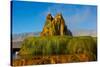 USA, Nevada, Gerlach, Fly Geyser, Black Rock Desert-Bernard Friel-Stretched Canvas