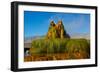 USA, Nevada, Gerlach, Fly Geyser, Black Rock Desert-Bernard Friel-Framed Photographic Print