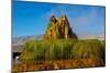 USA, Nevada, Gerlach, Fly Geyser, Black Rock Desert-Bernard Friel-Mounted Photographic Print