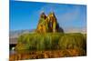 USA, Nevada, Gerlach, Fly Geyser, Black Rock Desert-Bernard Friel-Mounted Photographic Print