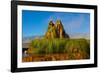 USA, Nevada, Gerlach, Fly Geyser, Black Rock Desert-Bernard Friel-Framed Photographic Print