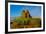 USA, Nevada, Gerlach, Fly Geyser, Black Rock Desert-Bernard Friel-Framed Photographic Print