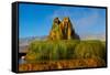 USA, Nevada, Gerlach, Fly Geyser, Black Rock Desert-Bernard Friel-Framed Stretched Canvas