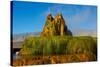 USA, Nevada, Gerlach, Fly Geyser, Black Rock Desert-Bernard Friel-Stretched Canvas