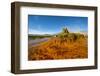 USA, Nevada, Gerlach, Fly Geyser, Black Rock Desert-Bernard Friel-Framed Photographic Print