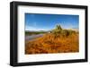 USA, Nevada, Gerlach, Fly Geyser, Black Rock Desert-Bernard Friel-Framed Photographic Print