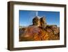 USA, Nevada, Gerlach, Fly Geyser, Black Rock Desert-Bernard Friel-Framed Photographic Print