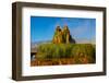 USA, Nevada, Gerlach, Fly Geyser, Black Rock Desert-Bernard Friel-Framed Photographic Print