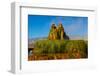 USA, Nevada, Gerlach, Fly Geyser, Black Rock Desert-Bernard Friel-Framed Photographic Print