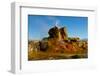 USA, Nevada, Gerlach, Fly Geyser, Black Rock Desert-Bernard Friel-Framed Photographic Print