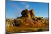 USA, Nevada, Gerlach, Fly Geyser, Black Rock Desert-Bernard Friel-Mounted Photographic Print