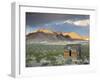 USA, Nevada, Great Basin, Beatty, Rhyolite Ghost Town-Walter Bibikow-Framed Photographic Print