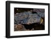 USA, Nevada. Hiko Basin and Range National Monument, White River Narrows, Rock Art-Bernard Friel-Framed Photographic Print