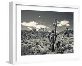 USA, Nevada, Las Vegas Area, Mt. Charleston, Mountain Landscape-Walter Bibikow-Framed Photographic Print