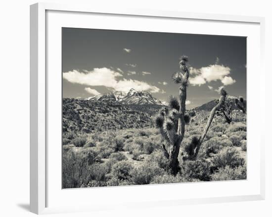 USA, Nevada, Las Vegas Area, Mt. Charleston, Mountain Landscape-Walter Bibikow-Framed Photographic Print