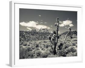 USA, Nevada, Las Vegas Area, Mt. Charleston, Mountain Landscape-Walter Bibikow-Framed Photographic Print