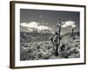 USA, Nevada, Las Vegas Area, Mt. Charleston, Mountain Landscape-Walter Bibikow-Framed Photographic Print