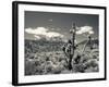 USA, Nevada, Las Vegas Area, Mt. Charleston, Mountain Landscape-Walter Bibikow-Framed Photographic Print