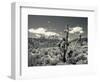 USA, Nevada, Las Vegas Area, Mt. Charleston, Mountain Landscape-Walter Bibikow-Framed Photographic Print