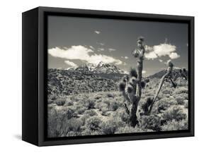 USA, Nevada, Las Vegas Area, Mt. Charleston, Mountain Landscape-Walter Bibikow-Framed Stretched Canvas