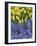 USA, Nevada, Las Vegas. Hyacinth and yellow tulips in garden.-Jaynes Gallery-Framed Photographic Print