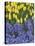 USA, Nevada, Las Vegas. Hyacinth and yellow tulips in garden.-Jaynes Gallery-Stretched Canvas