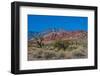 USA, Nevada, Las Vegas, Red Rock National Conservation Area, Calico Hills North-Bernard Friel-Framed Photographic Print