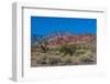 USA, Nevada, Las Vegas, Red Rock National Conservation Area, Calico Hills North-Bernard Friel-Framed Photographic Print