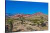 USA, Nevada. Las Vegas. Red Rock National Conservation Area, Calico Hills North-Bernard Friel-Stretched Canvas