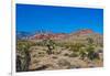 USA, Nevada. Las Vegas. Red Rock National Conservation Area, Calico Hills North-Bernard Friel-Framed Photographic Print