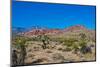 USA, Nevada. Las Vegas. Red Rock National Conservation Area, Calico Hills North-Bernard Friel-Mounted Photographic Print