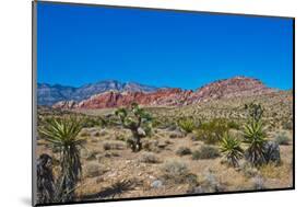 USA, Nevada. Las Vegas. Red Rock National Conservation Area, Calico Hills North-Bernard Friel-Mounted Photographic Print