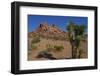 USA, Nevada, Mesquite. Gold Butte National Monument, Blackhawk Road vista-Bernard Friel-Framed Photographic Print