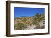 USA, Nevada, Mesquite. Gold Butte National Monument, Blackhawk Road vista-Bernard Friel-Framed Photographic Print