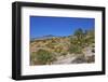 USA, Nevada, Mesquite. Gold Butte National Monument, Blackhawk Road vista-Bernard Friel-Framed Photographic Print