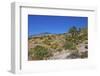 USA, Nevada, Mesquite. Gold Butte National Monument, Blackhawk Road vista-Bernard Friel-Framed Photographic Print