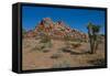 USA, Nevada. Mesquite. Gold Butte National Monument, Blackhawk Road vista-Bernard Friel-Framed Stretched Canvas