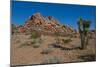 USA, Nevada. Mesquite. Gold Butte National Monument, Blackhawk Road vista-Bernard Friel-Mounted Photographic Print