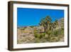 USA, Nevada. Mesquite. Gold Butte National Monument, Blackhawk Road vista-Bernard Friel-Framed Photographic Print