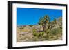 USA, Nevada. Mesquite. Gold Butte National Monument, Blackhawk Road vista-Bernard Friel-Framed Photographic Print