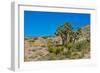 USA, Nevada. Mesquite. Gold Butte National Monument, Blackhawk Road vista-Bernard Friel-Framed Photographic Print