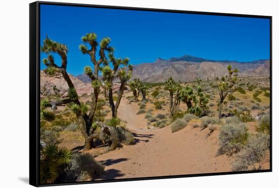 USA, Nevada, Mesquite. Gold Butte National Monument, Blackhawk Road vista-Bernard Friel-Framed Stretched Canvas