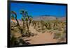 USA, Nevada, Mesquite. Gold Butte National Monument, Blackhawk Road vista-Bernard Friel-Framed Photographic Print