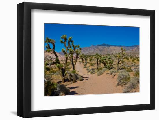 USA, Nevada, Mesquite. Gold Butte National Monument, Blackhawk Road vista-Bernard Friel-Framed Photographic Print