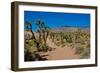 USA, Nevada, Mesquite. Gold Butte National Monument, Blackhawk Road vista-Bernard Friel-Framed Photographic Print