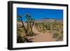 USA, Nevada, Mesquite. Gold Butte National Monument, Blackhawk Road vista-Bernard Friel-Framed Photographic Print