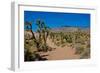 USA, Nevada, Mesquite. Gold Butte National Monument, Blackhawk Road vista-Bernard Friel-Framed Photographic Print