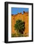 USA, Nevada, Mesquite. Gold Butte National Monument, Little Finland, Palm tree in the Desert-Bernard Friel-Framed Photographic Print