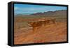 USA, Nevada, Mesquite. Gold Butte National Monument, Little Finland red rock sculptures-Bernard Friel-Framed Stretched Canvas